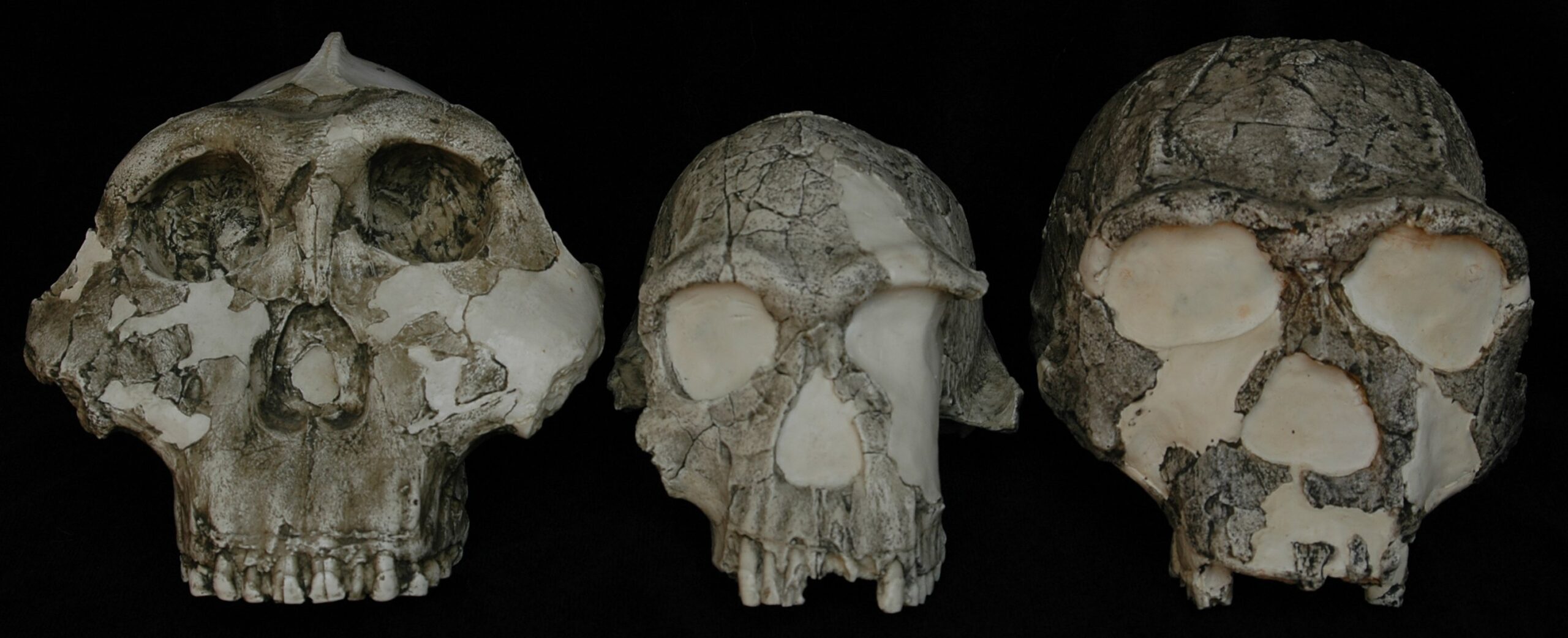 Tracing Humanity in Nature